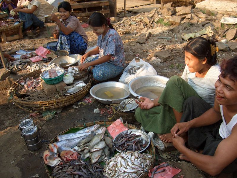 市場の魚売り場